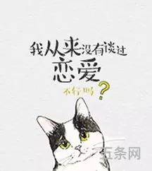 我从来没有谈过恋爱重生(时光让我回头[重生])