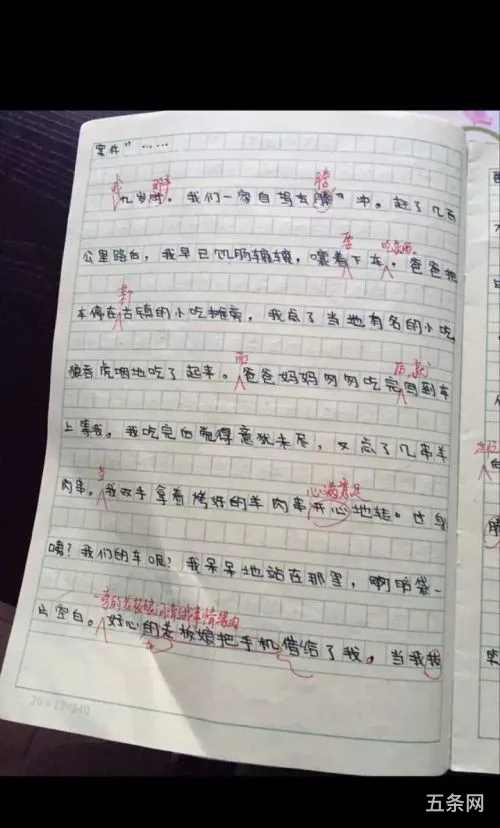 我来到了新学校作文500字(来到学校的感想500字)