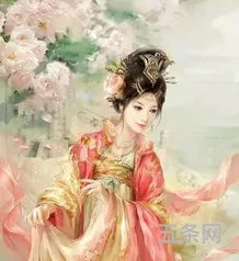 芙蓉花比喻什么女人(芙蓉的寓意和花语)