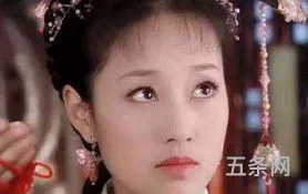 白莲花是哪个电视剧人物(白莲花电视剧剧情介绍)