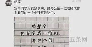 夸夸同学的闪光点300字作文(夸夸同学的优秀作文)