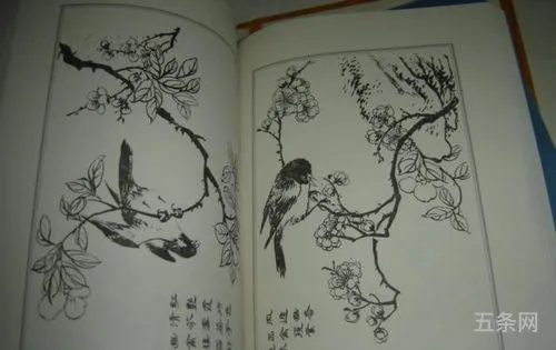 芥子园画传哪个版本最好(芥子园画传是谁的作品)