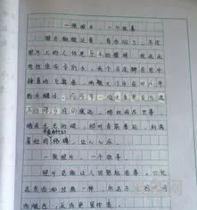 老顽童的作文600字初中作文(那次玩得真高兴作文300字)