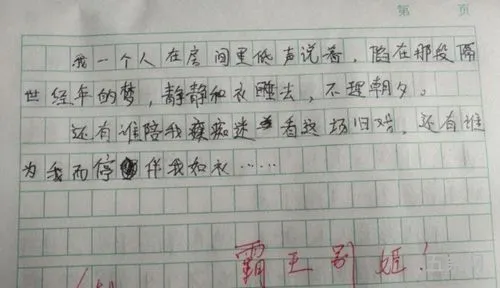 我应该这样做作文500字怎么写(以这样做不对为题写作文)