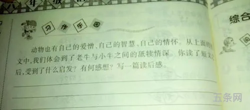 蜗牛快递作文250字(蜗牛快递员的人物评价)