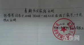 假期实践报告范文3000字(实训报告心得体会)