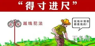 一寸什么什么成语大全(打一成语9寸+1寸=1尺)