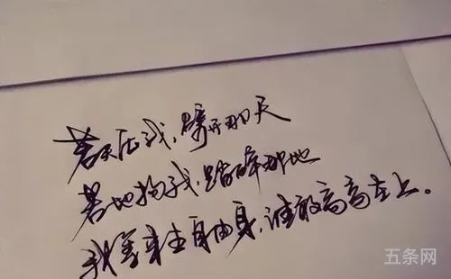 释怀的句子经典语录(释怀的句子简短八个字)