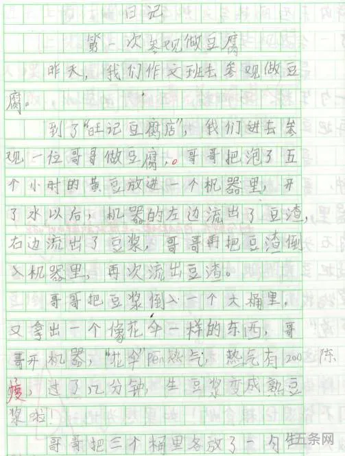 成长历程作文600字(以成长的过程为题写一篇作文)