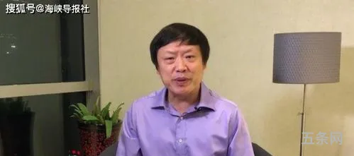 网友批评胡锡进(胡锡进近乎日均消失一条微博)