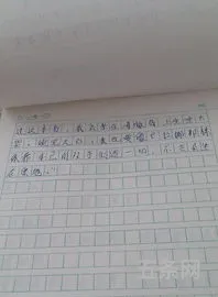 我的读书故事400字作文免费(我和书的故事人物介绍)