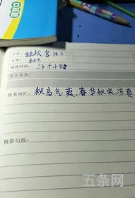 与秋天有关的词语二字(带秋的二字词语唯美)