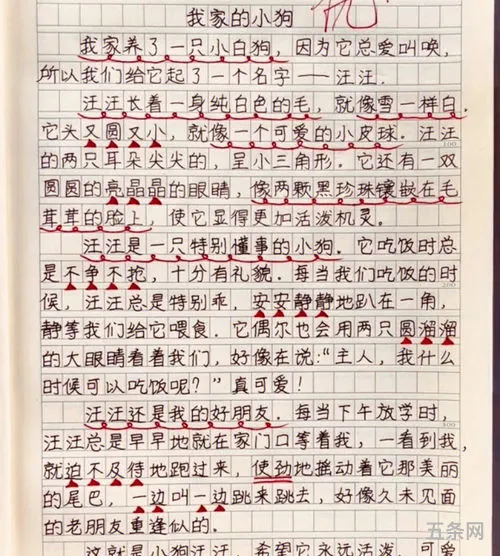 动物家园作文400字(介绍动物作文—300字)