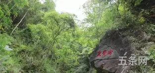 牛姆林风景区门票价格(牛姆林一日游攻略)