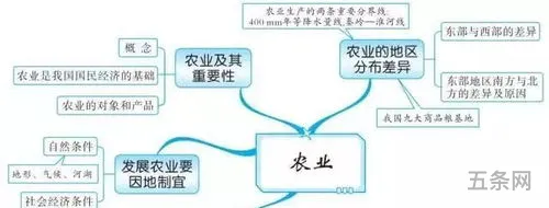 启迪慧想高考地理(启迪慧想代文康个人资料)