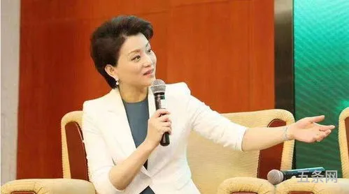 杨澜谈孩子(杨澜两段婚史)