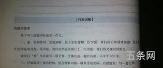 网络作文600字议论文(以网络为话题的作文800字)