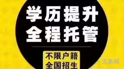 高等教育自学考试是什么意思(参加自学考试)