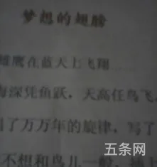 翅膀作文开头(以翅膀为话题的作文800字)