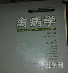 恋爱心理学结课论文参考文献(心理学参考文献有哪些)