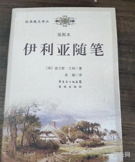 伊利亚随笔哪个译本好用(尤利西斯最佳译本)