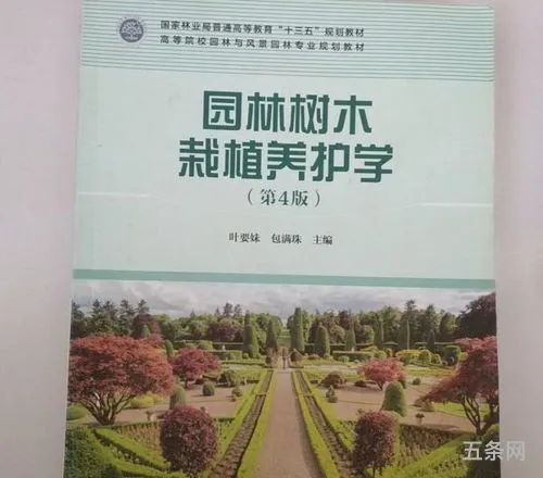 大学4年规划书(大学四年个人计划书)