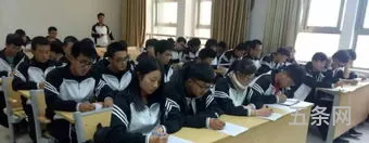 新生大学生活感悟1000(大学生活心得)