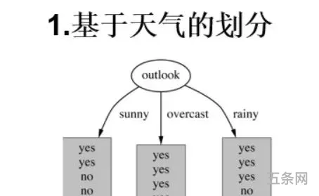 决策树算法原理(简单说明决策树原理)