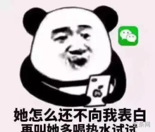 翻表情包有正在输入吗(笑翻了表情包)