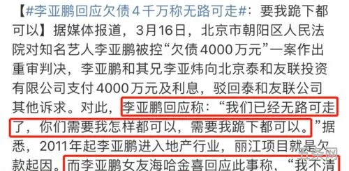 李亚鹏欠债赔4千万(李亚鹏谈欠款)