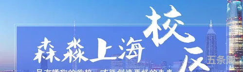 森淼学校怎么样(森淼意大利培训学校)