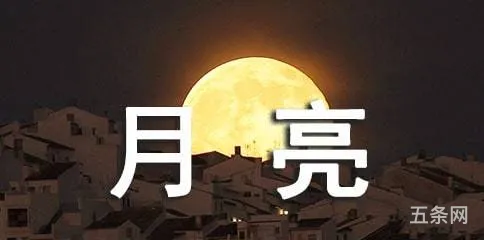 月夜作文500字(描写月夜景色的小练笔)