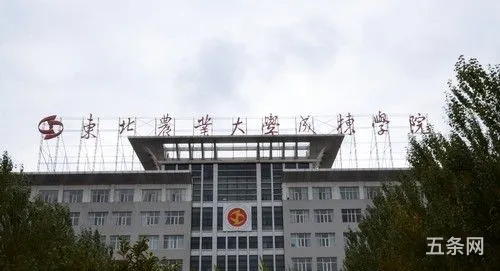 成栋学院是几本(东北农大成栋学院是211吗)