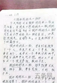 我的妈妈作文400字优秀作文(我的妈妈400字可抄免费)