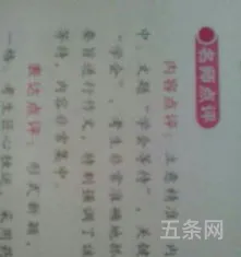 美文段落摘抄100字左右(美文欣赏200字)