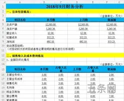 财务分析范文模板(财务分析报表)