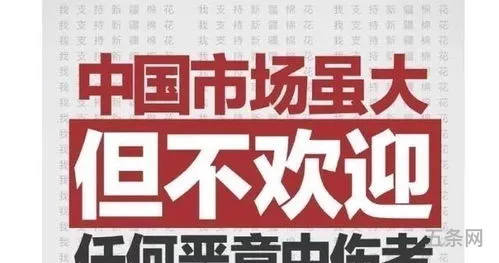 阿迪达斯发表了什么言论(刘亦菲与阿迪达斯解约事件)