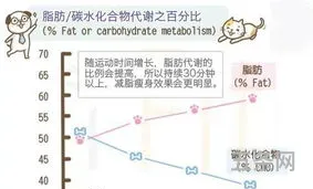 人临终前为什么手在空中抓三分钟一次频率