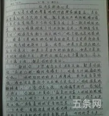 我的高中生活作文600字高一(高一新生入学作文800字)