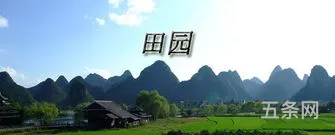 难忘的一节课300字(难忘的一堂课优美开头)