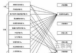 项目风险管理(项目风险及可行性分析报告)