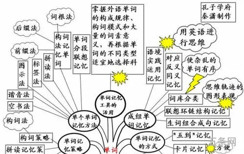 树语英语学生版(下载树鱼英语平台)