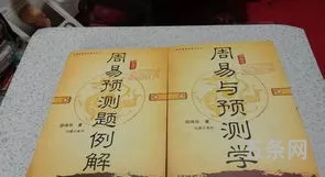 周易与预测学这本书怎么样(国内最权威的易经版本)