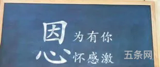 关于学会感恩的作文800字(一篇500字感恩作文)