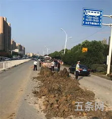 渣土车抛洒大量泥土怎么处理(关于渣土车污染路面)