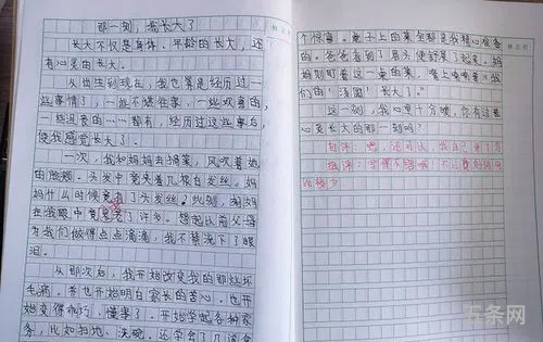 长大以后想做什么的作文二年级150字左右