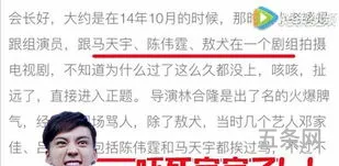 淘气广告亚克西导演助理是真的吗(淘气广告亚克西有几部)