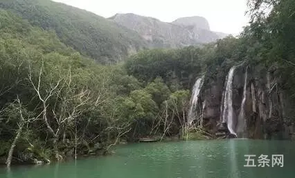 青岛矿泉水厂*出售信息(二手桶装水厂*)