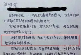 我的新学校作文(以新校为题一篇400字作文)