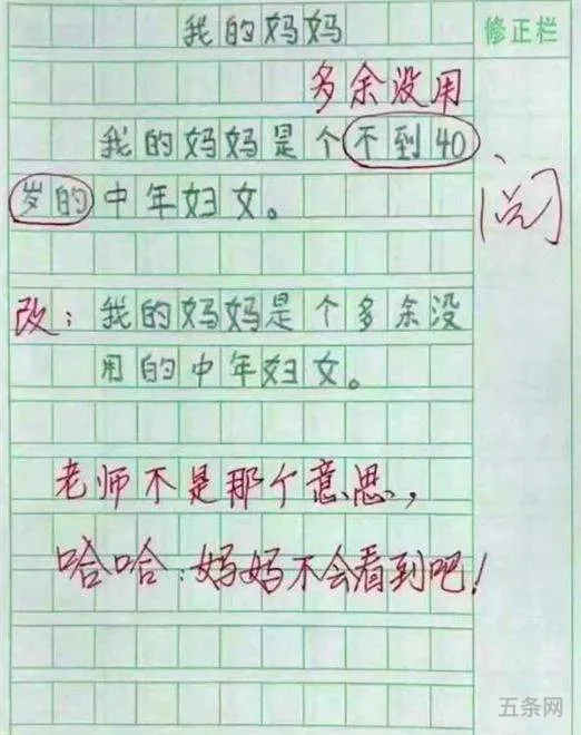 暴躁老妈作文(叛逆儿子暴躁老妈的解决方法)